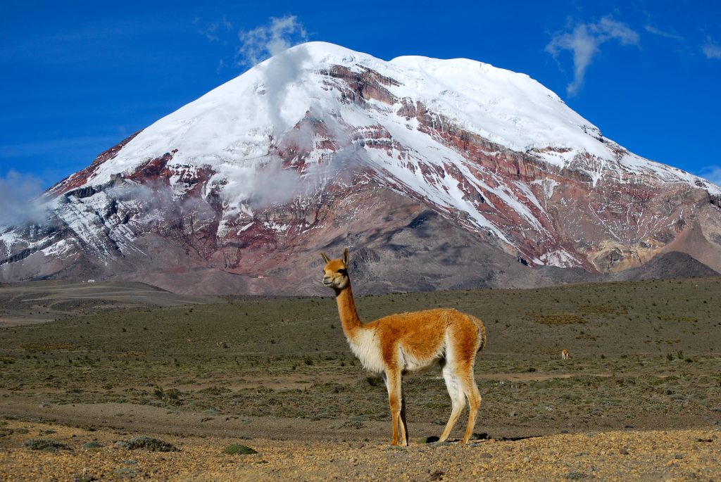 Il Chimborazo. Foto Wikimedia Commons
