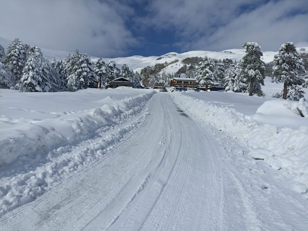 Piano Provenzana Etna Nord - Monte Conca 1806m - 21/03/2022 - Foto: Giò Giusa - FB @Etna e Dintorni in foto