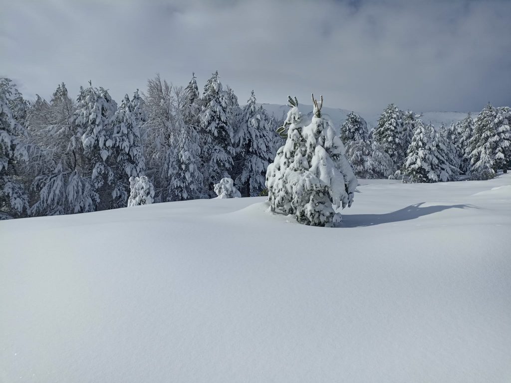 Piano Provenzana Etna Nord - Monte Conca 1806m - 21/03/2022 - Foto: Giò Giusa - FB @Etna e Dintorni in foto