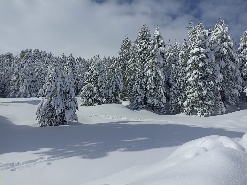 Etna Nord Piano Provenzana - Monte Conca 1806m - 21/03/2022 - Foto: Giò Giusa - FB @Etna e Dintorni in foto