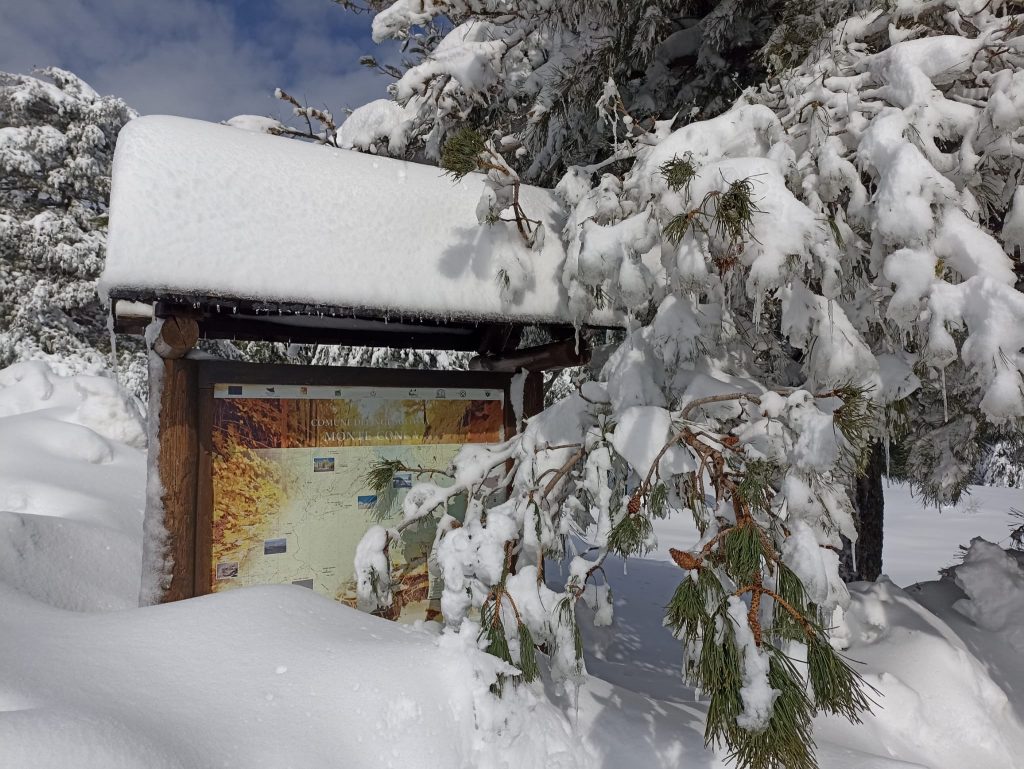 Etna Nord Piano Provenzana - Monte Conca 1806m - 21/03/2022 - Foto: Giò Giusa - FB @Etna e Dintorni in foto