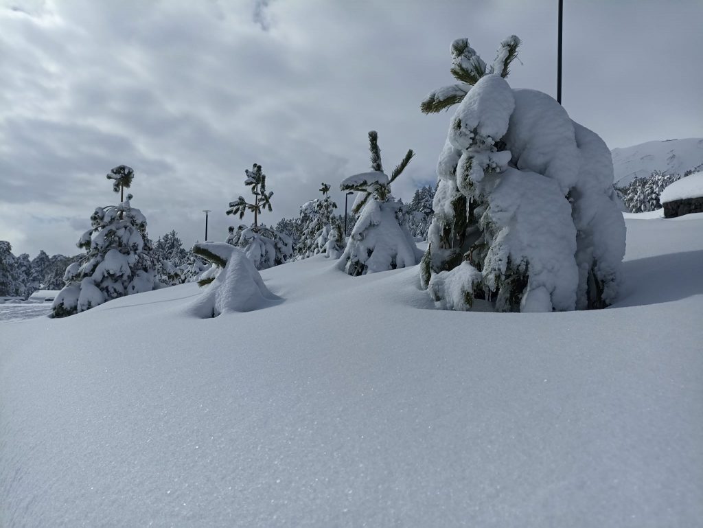 Piano Provenzana Etna Nord - Monte Conca 1806m - 21/03/2022 - Foto: Giò Giusa - FB @Etna e Dintorni in foto