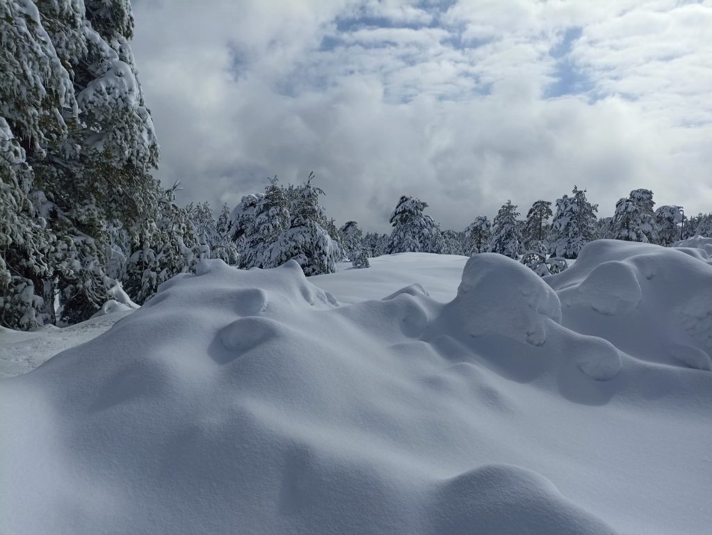 Piano Provenzana Etna Nord - Monte Conca 1806m - 21/03/2022 - Foto: Giò Giusa - FB @Etna e Dintorni in foto