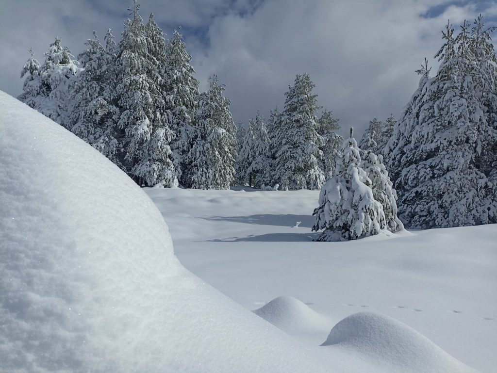Etna Nord Piano Provenzana - Monte Conca 1806m - 21/03/2022 - Foto: Giò Giusa - FB @Etna e Dintorni in foto