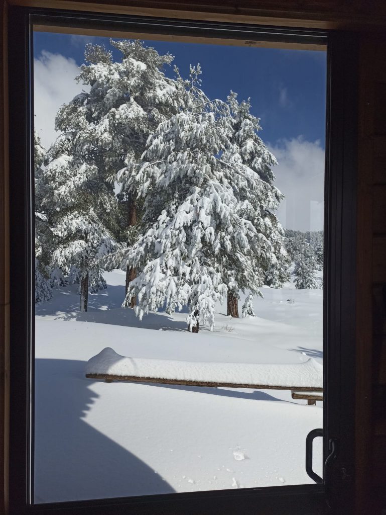Etna Nord Piano Provenzana - Monte Conca 1806m - 21/03/2022 - Foto: Giò Giusa - FB @Etna e Dintorni in foto