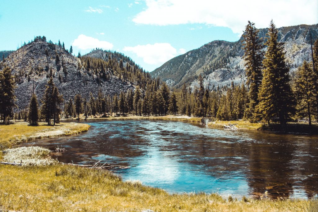 Parco di Yellowstone - Foto Unsplash @Austin Farrington