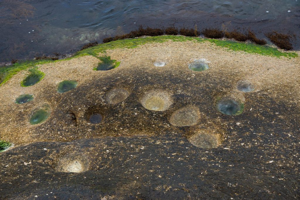 Impronte  di dinosauri - Foto Pixabay @chulmin1700