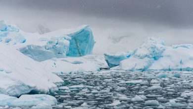 Photo of Luglio da record in Antartide, mai così poco ghiaccio marino in 44 anni
