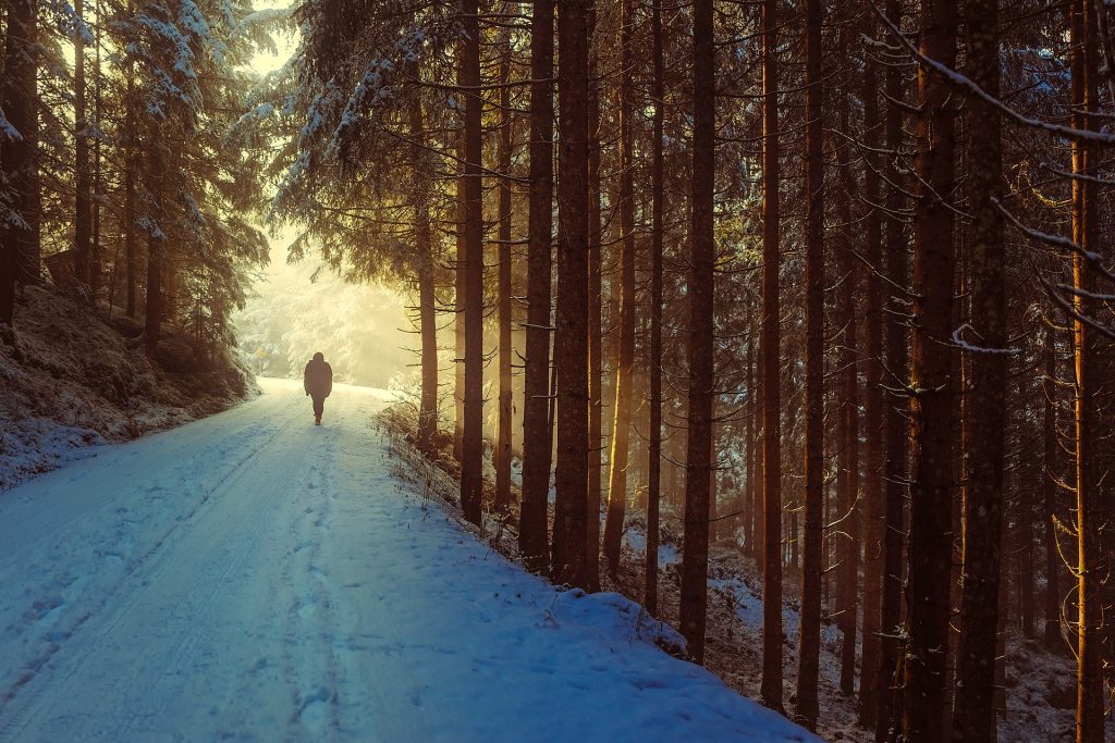 Escursione invernale