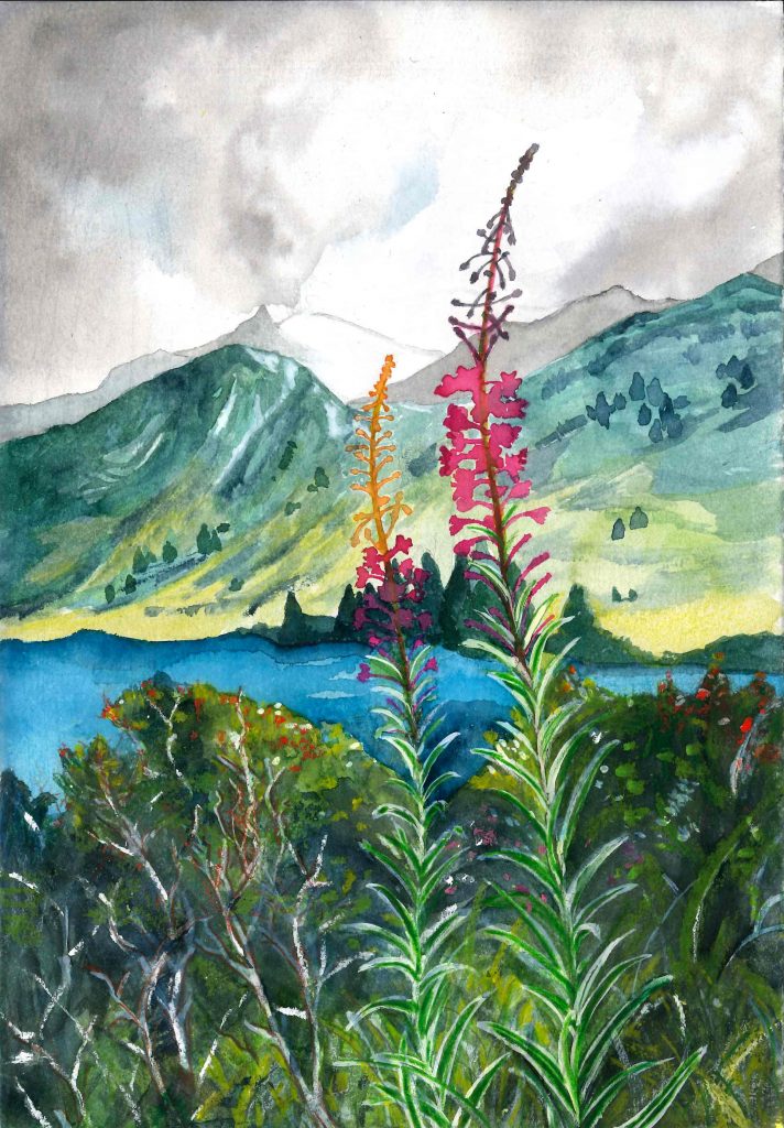 Da "Diario nelle Alpi"