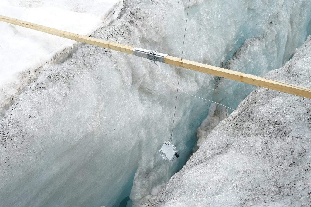 Progetto "Un silenzio in estinzione" - Foto FB @NEUNAU