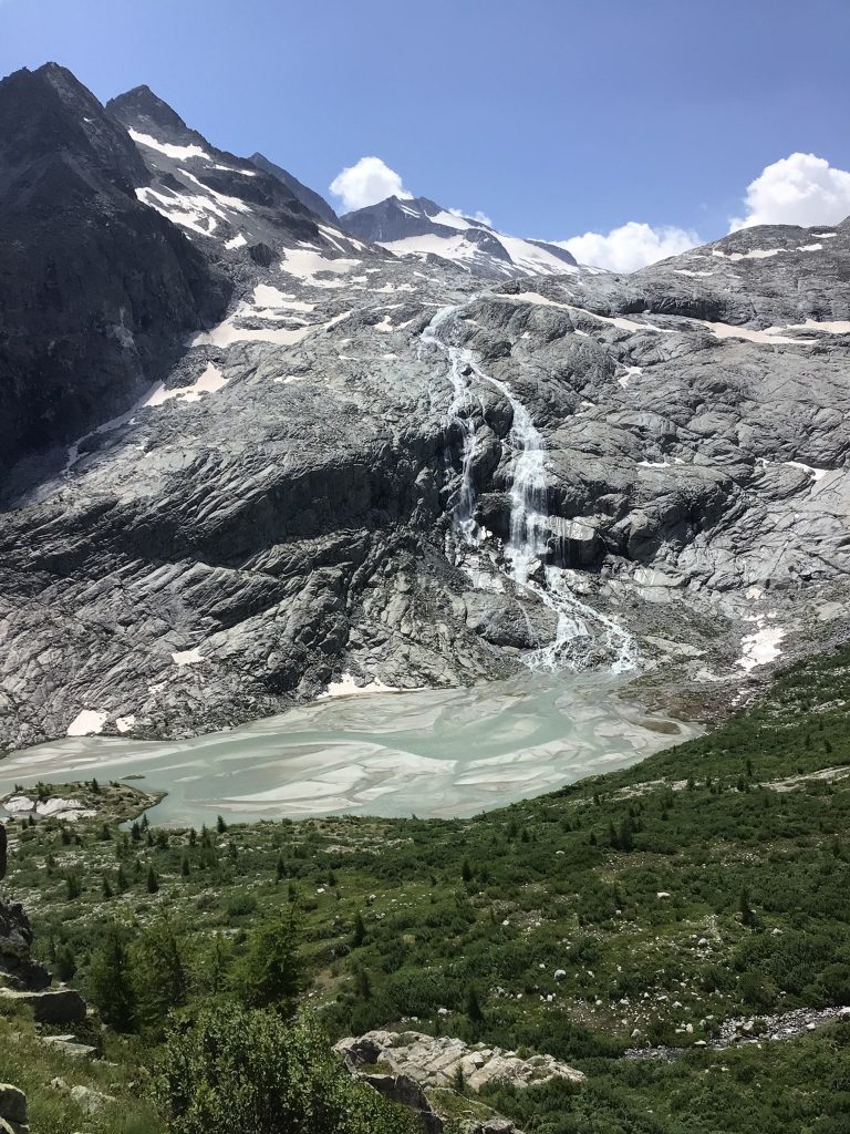 Progetto "Un silenzio in estinzione" - Foto FB @NEUNAU