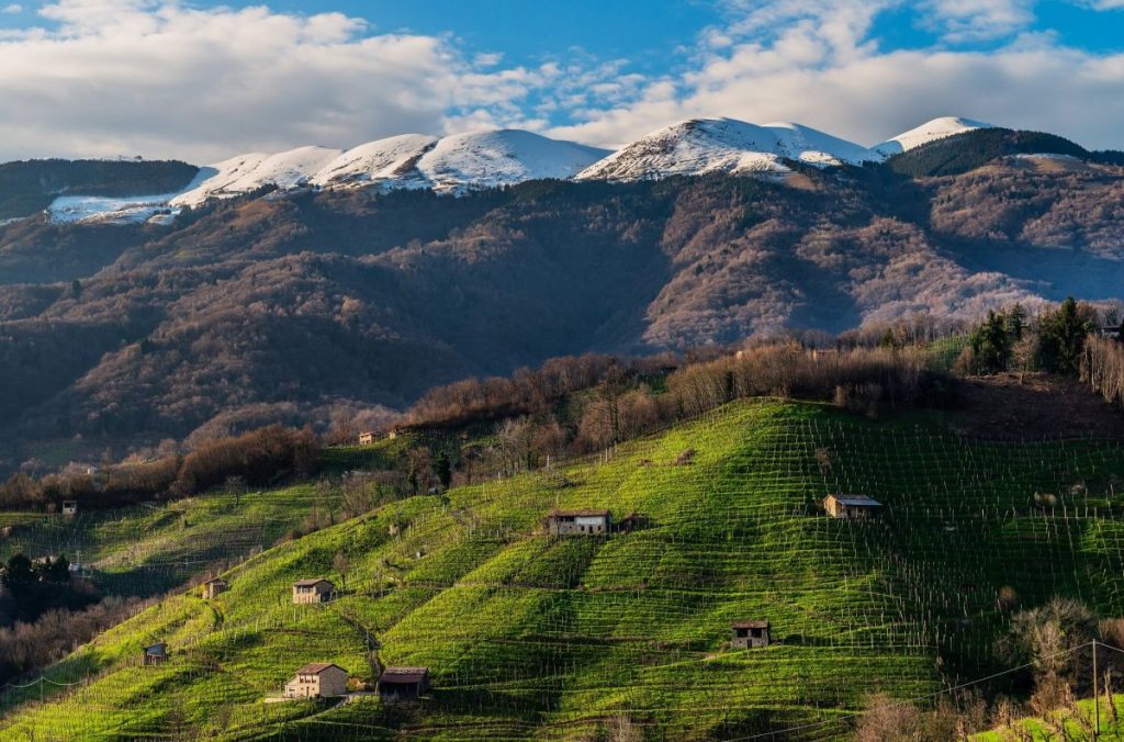 veneto, linea bianca, prosecco