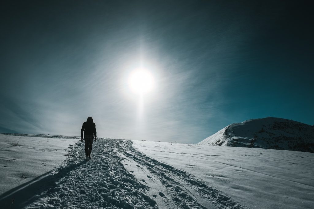 Marlene Kuntz - Michele Piazza