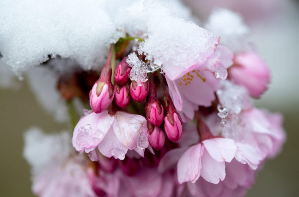 pericolo valanghe, primavera