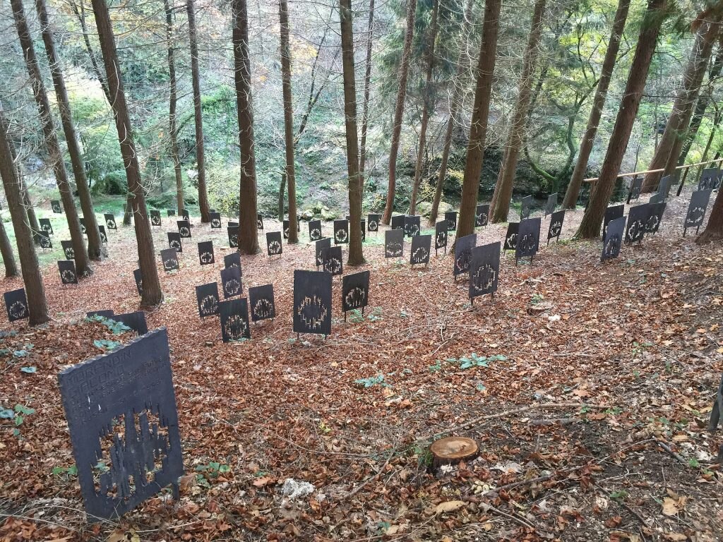 Bosco delle Penne Mozze - Foto Wikimedia Commons @Andrici Madalina