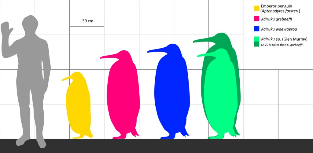 Pinguini Kairuku - Foto Wikimedia Commons @Ta-tea-two-te-to