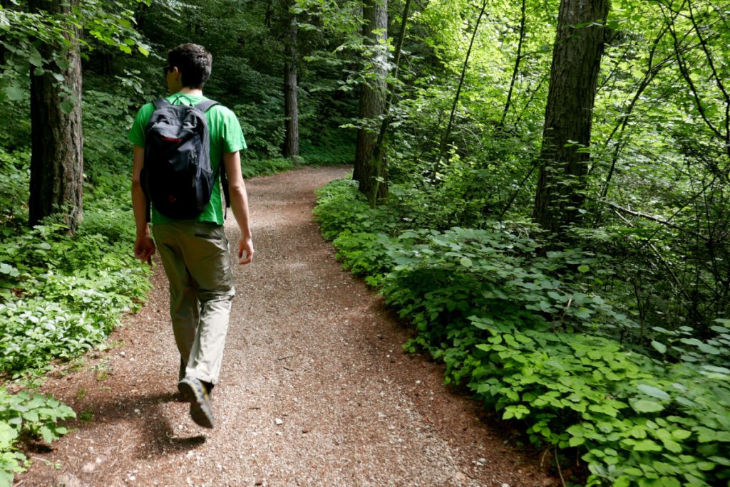 Nei boschi della Marzola