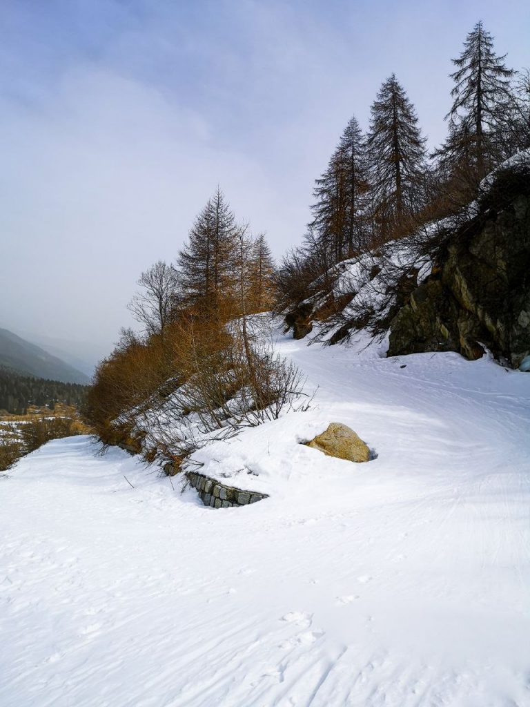 Foto di Giulia Negri