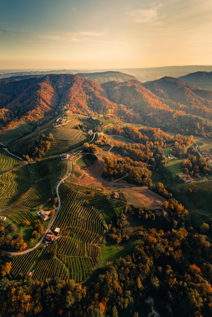 Colline del prosecco - Foto Unsplash @Alberto Caliman