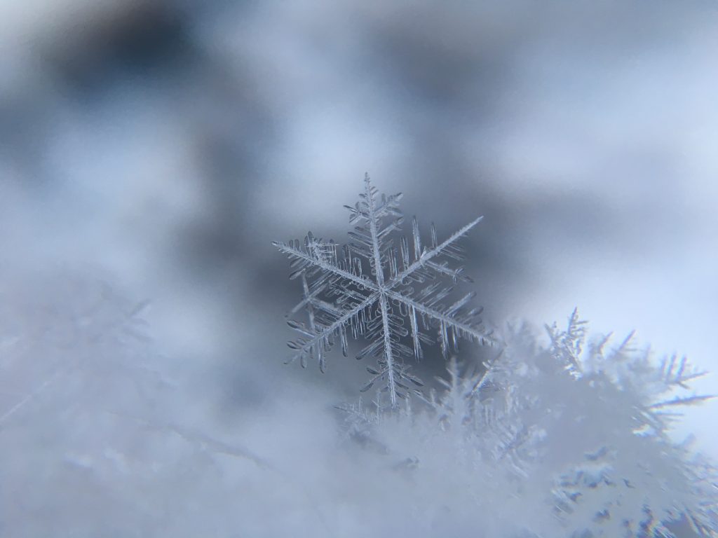 Fiocco di neve - Foto Unsplash @Damian Mccoig