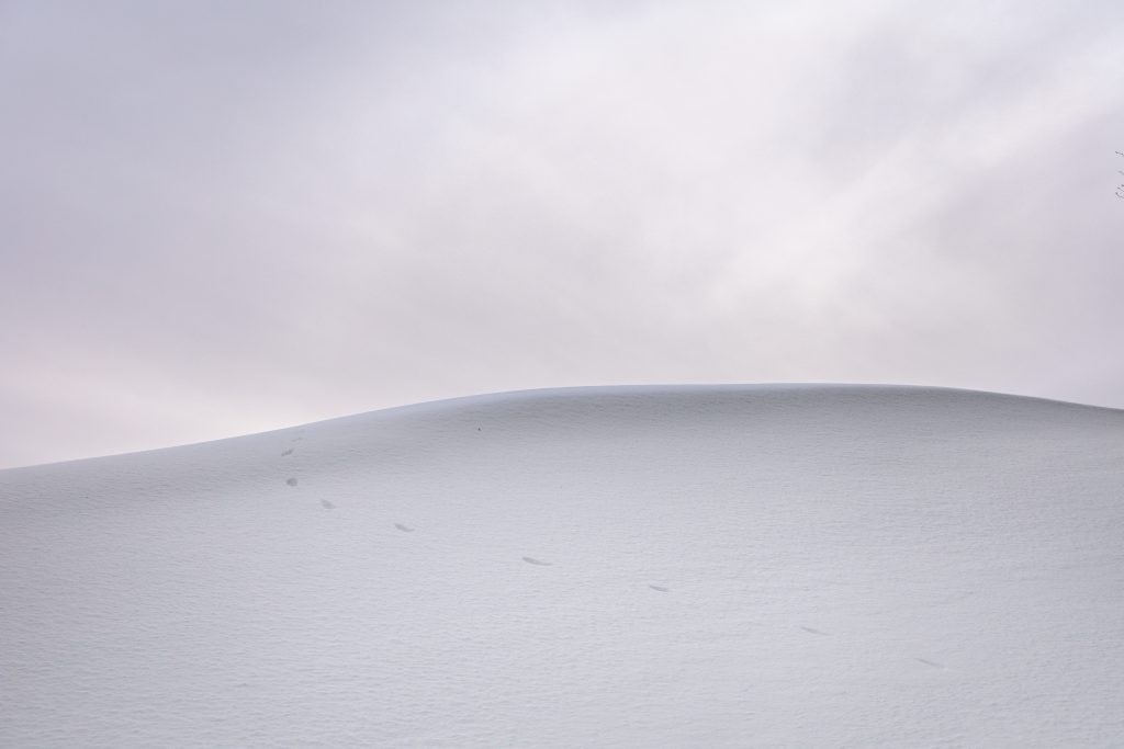 Foto Unsplash @Hans Isaacson