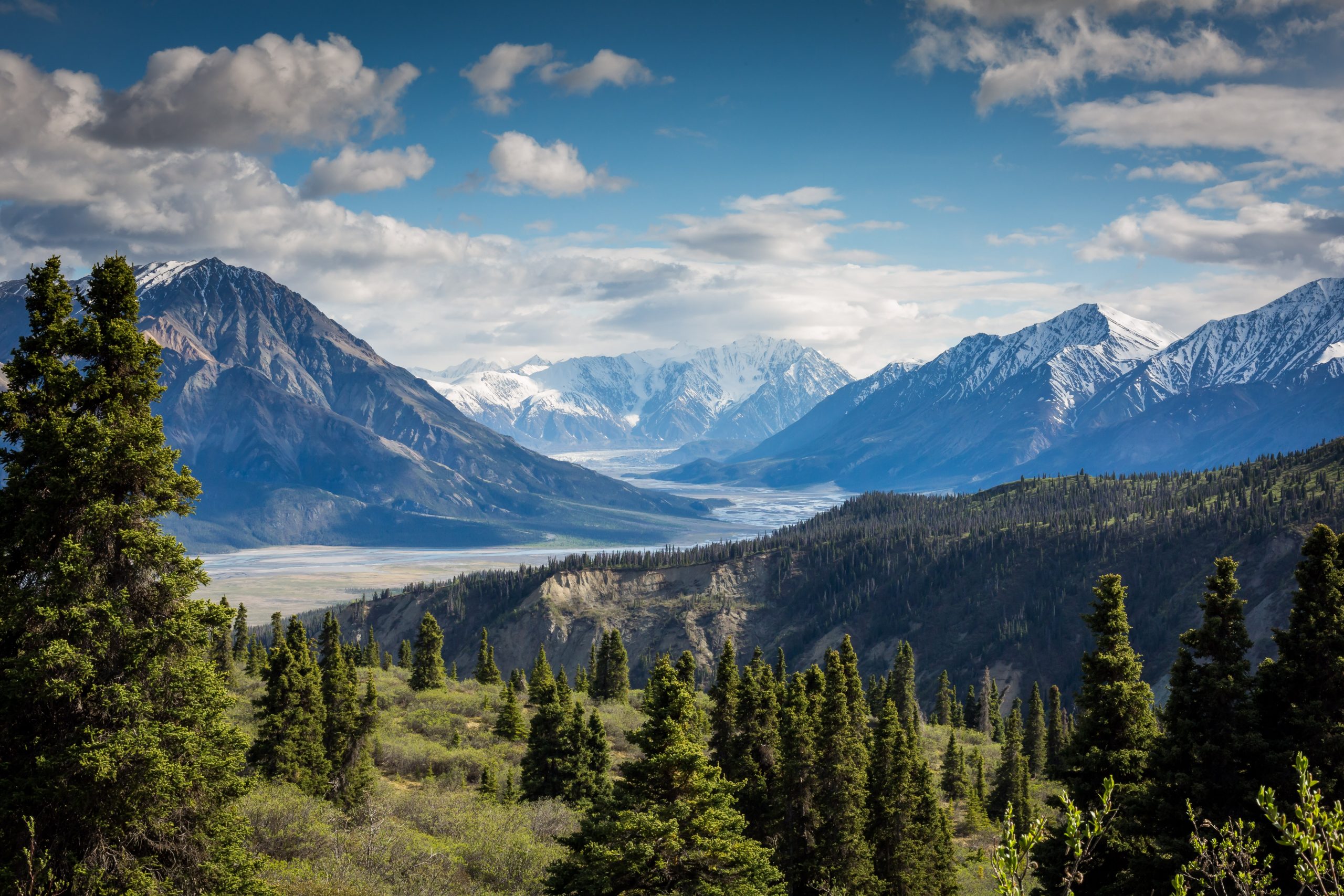Foto Kalen Emsley via unsplash
