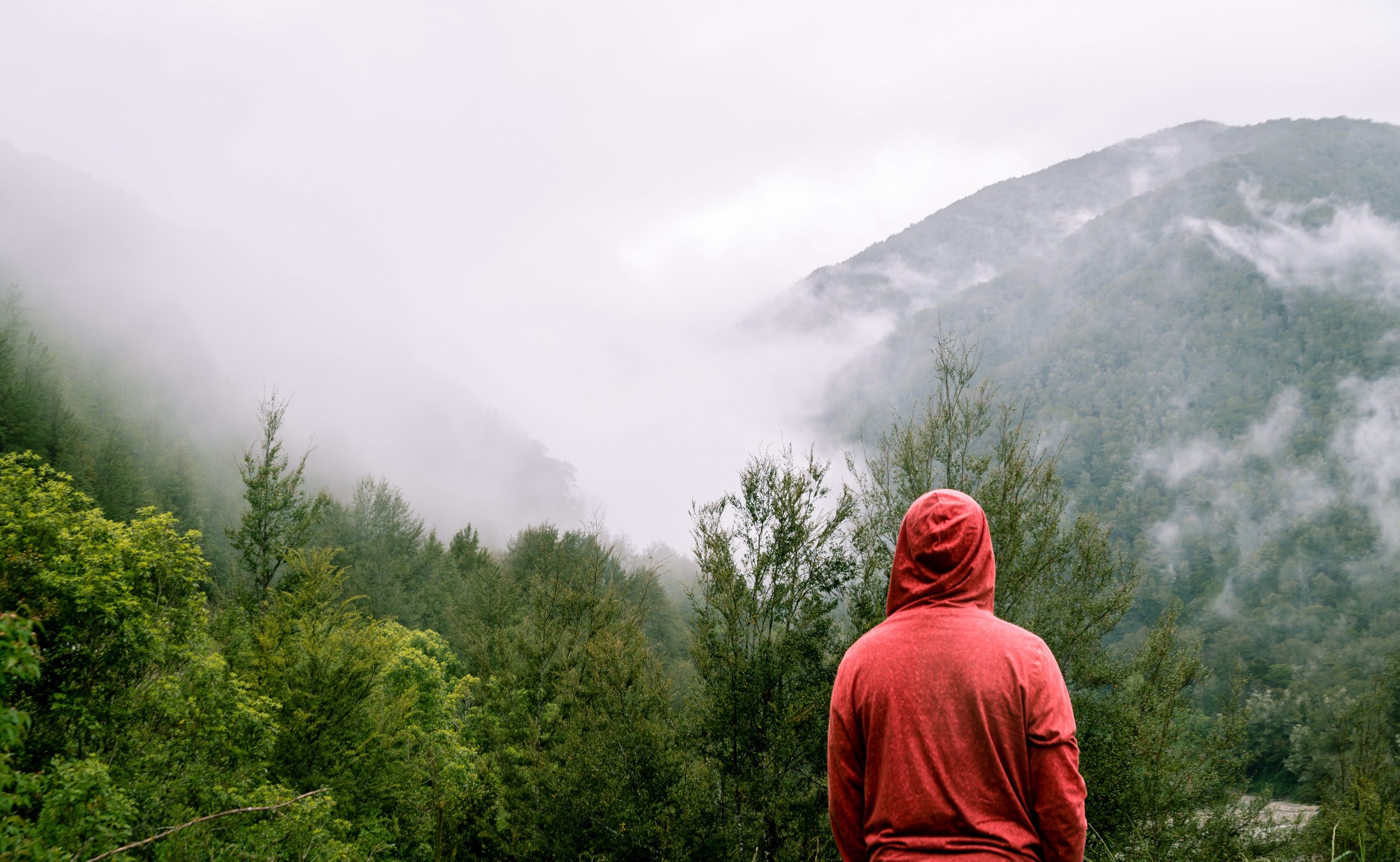 Foto di Gabriela Palai da Pexels