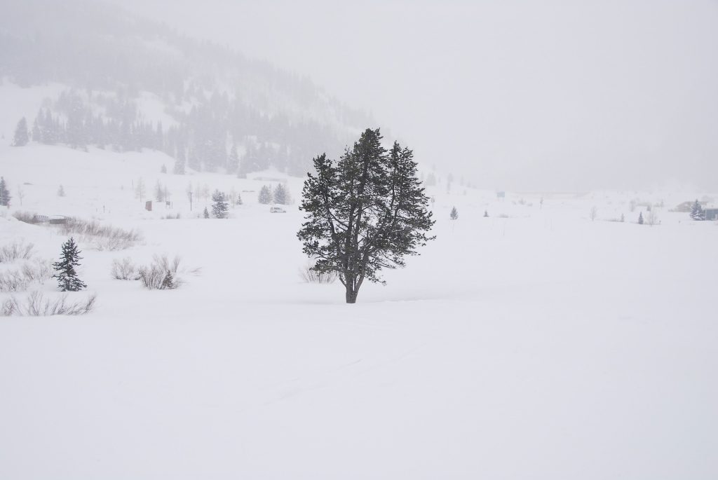 Effetto whiteout - Foto Pixabay @lizhoffmaster