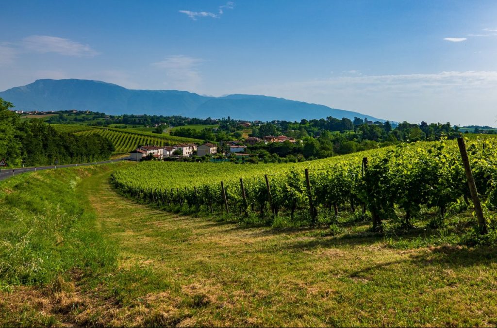 Colline del Prosecco - Foto Pixabay @RobbyFo