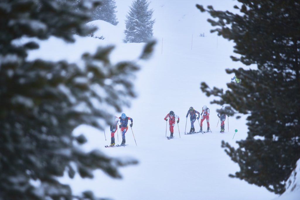 Vertical Race - Foto ISMF