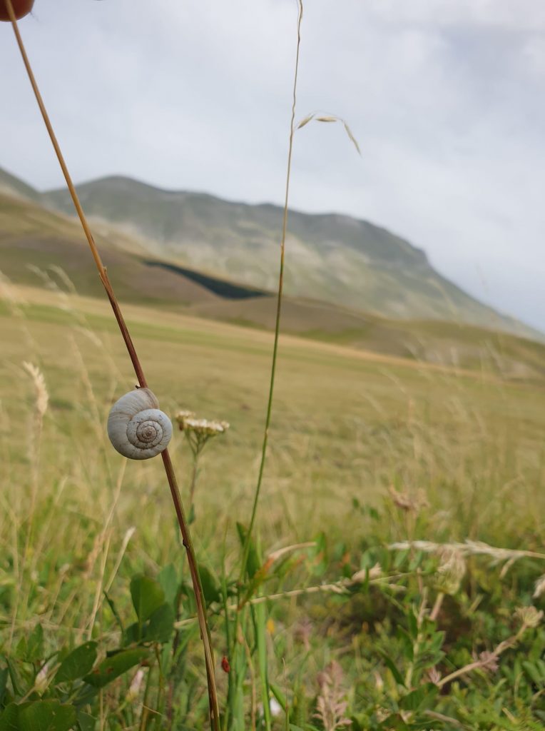 Cima del Redentore - Foto FB Appennino Bike Tour