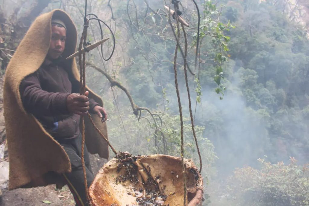 Honey hunter - Foto FB Best Mad Honey