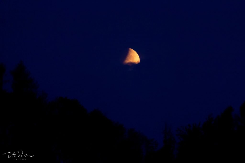 Eclissi lunare all