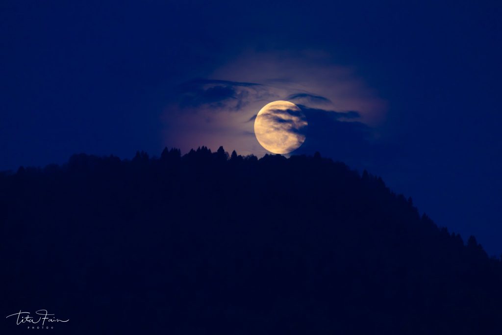 La Superluna spunta dalla foresta del Cansiglio - Foto Tita Lorenza Fain