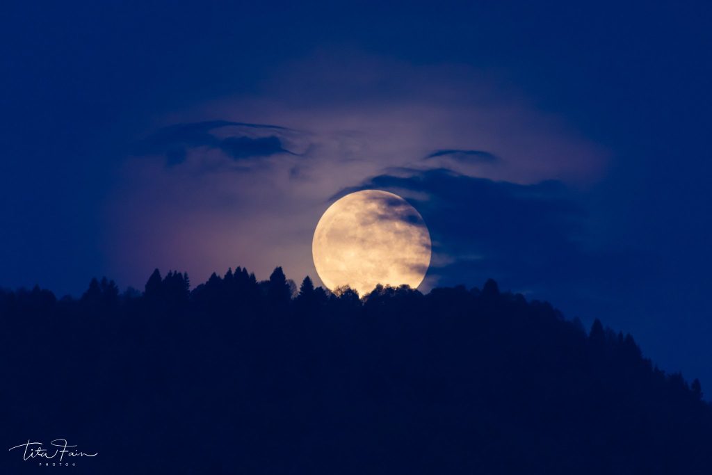La Superluna spunta dalla foresta del Cansiglio - Foto Tita Lorenza Fain