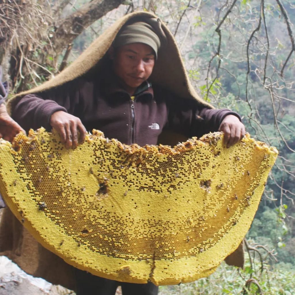 Honey hunters - Foto FB Best Mad Honey