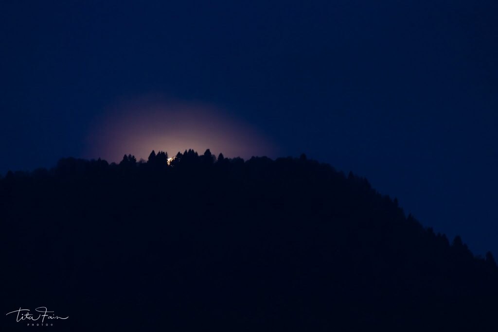 La Superluna spunta dalla foresta del Cansiglio - Foto Tita Lorenza Fain