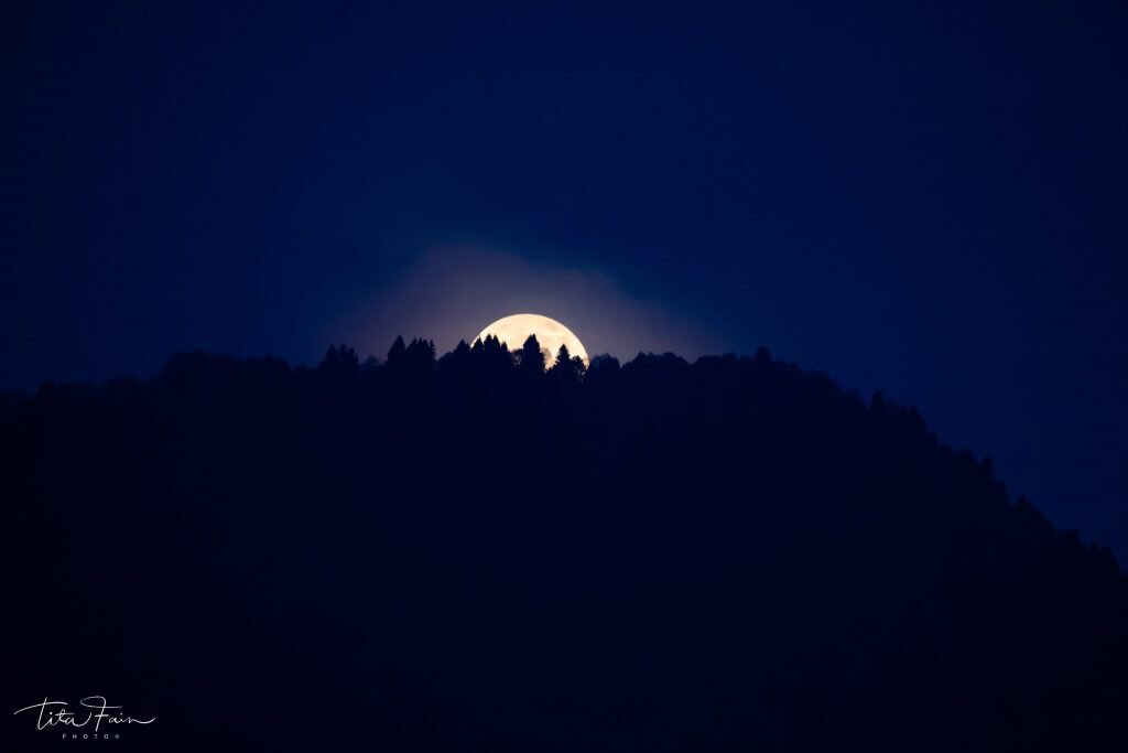 La Superluna spunta dalla foresta del Cansiglio - Foto Tita Lorenza Fain