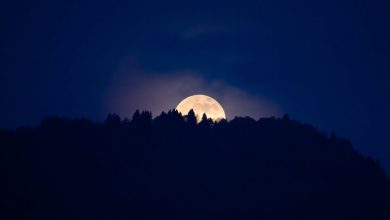 Photo of La Superluna dei Fiori sorge dalle foreste del Cansiglio
