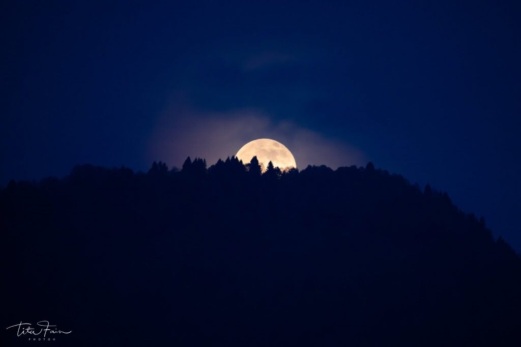 La Superluna spunta dalla foresta del Cansiglio - Foto Tita Lorenza Fain