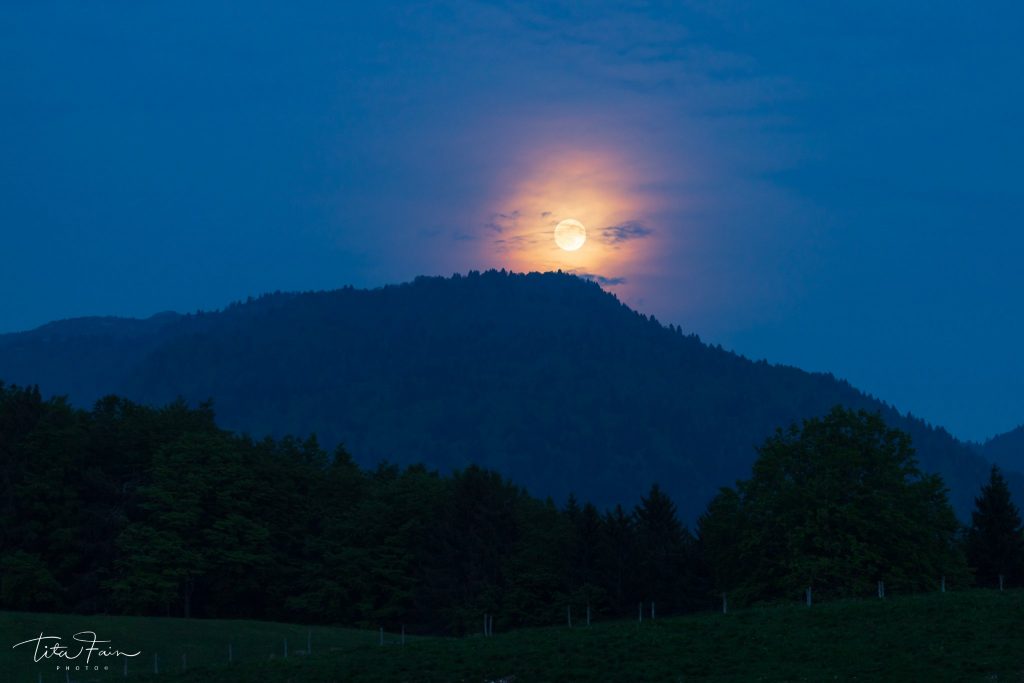 Luna piena sulla foresta del Cansiglio  - Foto Tita Lorenza  Fain