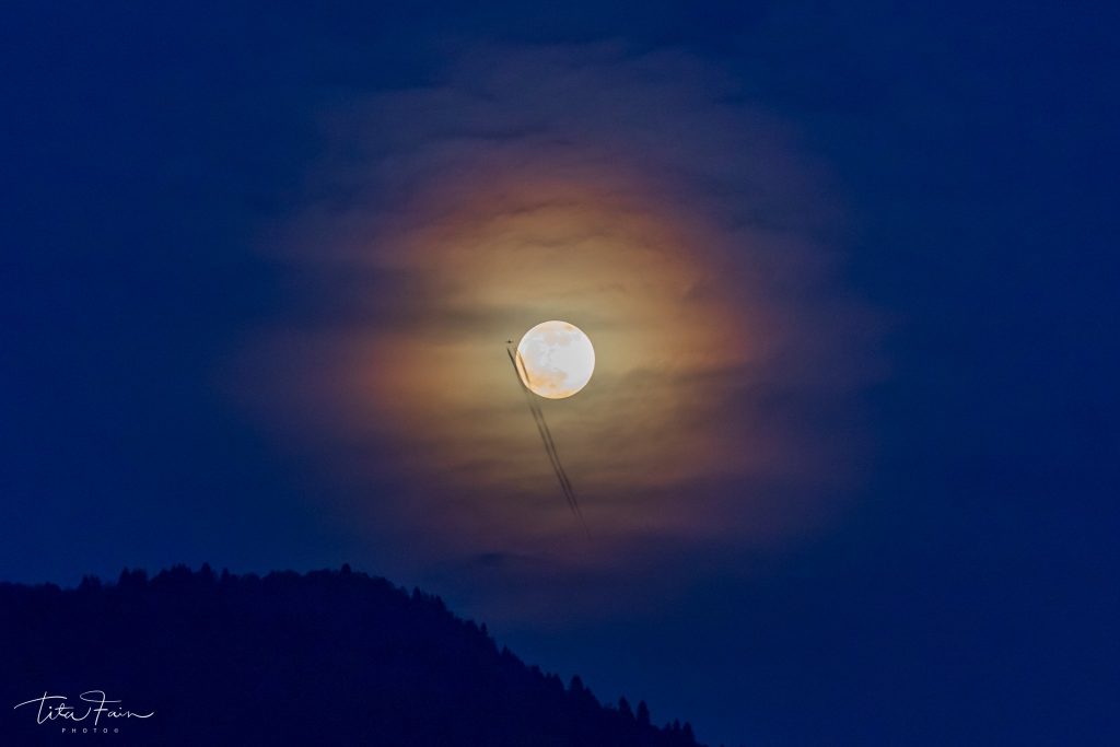 Luna piena sulla foresta del Cansiglio  - Foto Tita Lorenza  Fain