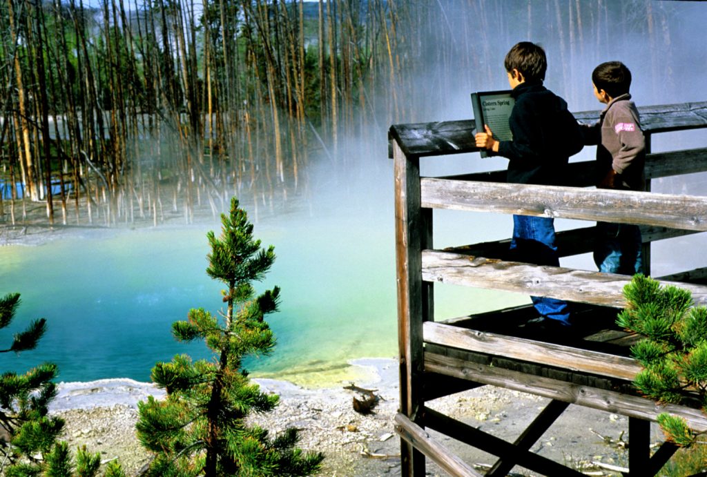Belvedere nel Norris Geyser Basin, Yellowstone