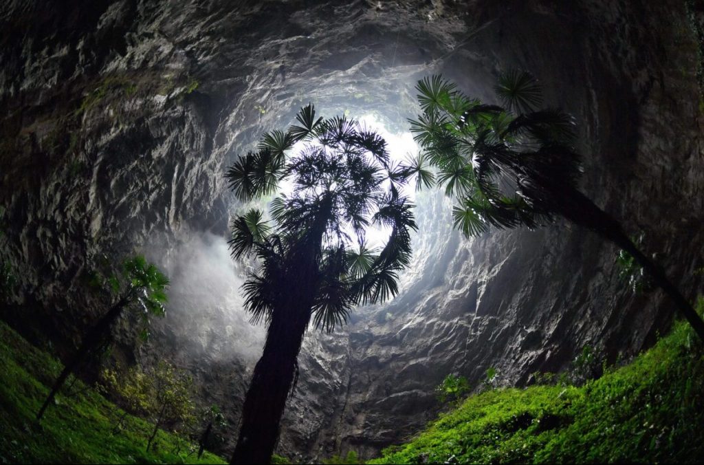 dolina, foresta, cina