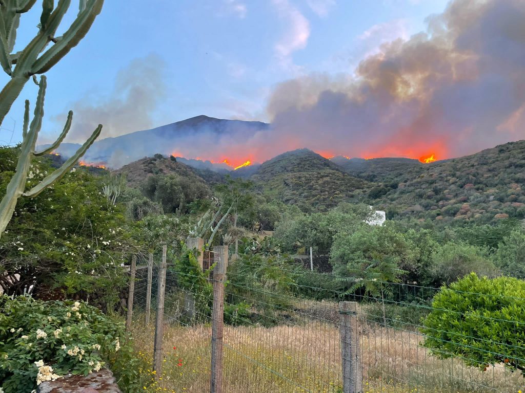 L'incendio a Stromboli, 25 maggio 2022. ANSA/ROBERTA DENTI