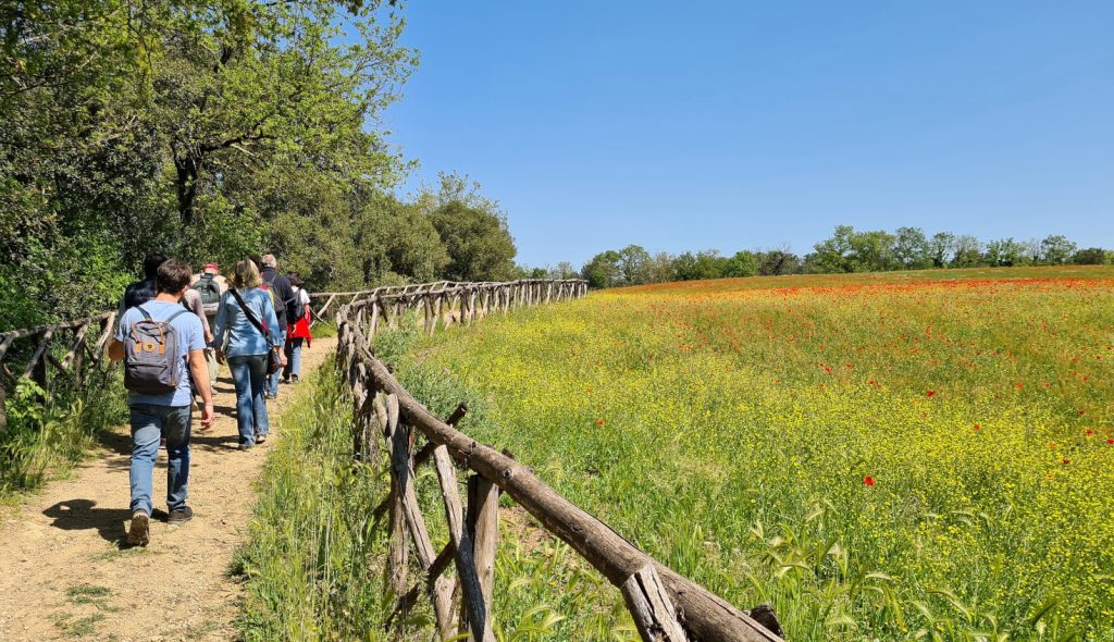 Escursionisti nel Parco di Veio