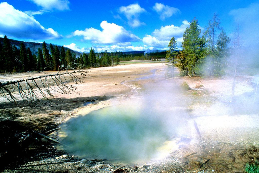 Il Norris Geyser Basin, Yellowstone