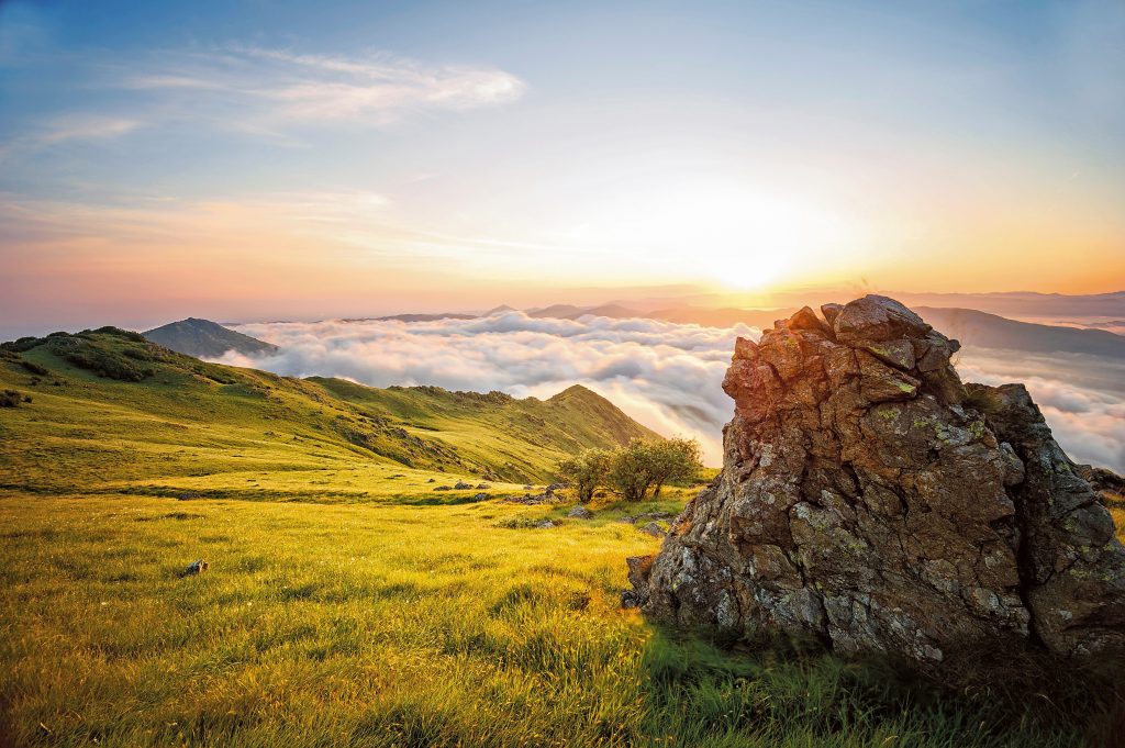 Il cielo sopra la macaia, fenomeno per cui – nelle giornate di scirocco – si forma una coltre medio-bassa di nuvole che copre il mar Ligure e si insinua nelle valli a ridosso della costa. Simbolo del Parco del Beigua (www.parco beigua.it) è la dafne odorosa: come la viola di Bertoloni e il cerastio di Voltri, cresce sulle ofioliti, sezioni della crosta oceanica ad alta concentrazione di magnesio e ferro. Foto Stephane Pechou/Adobe Stock