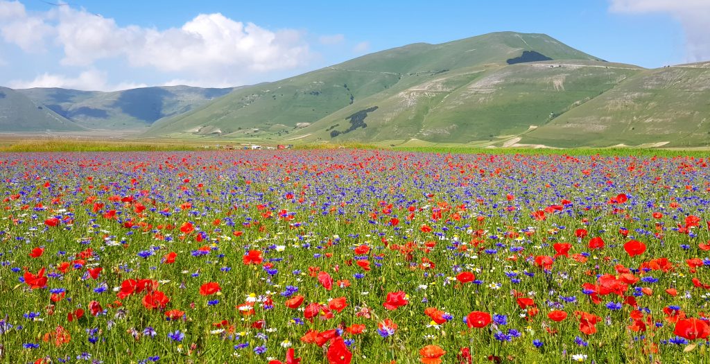 Il Cammino nelle Terre Mutate -Castelluccio - Foto Cristina Menghini